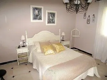 Conchi Villa